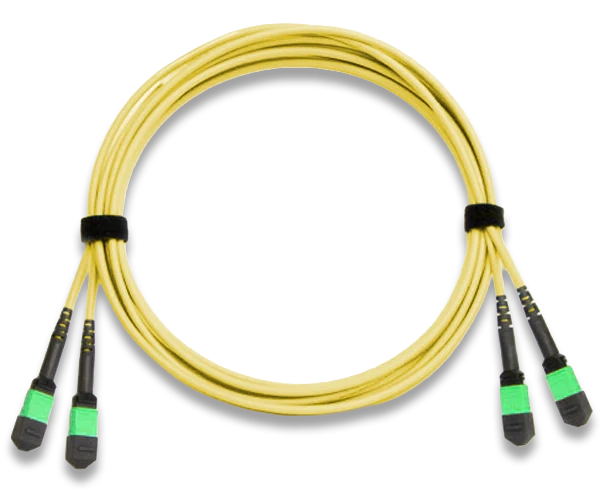 MTP Trunk Cable, APC Polish, Single Mode, 24 Fiber, 9/125, Plenum Rated