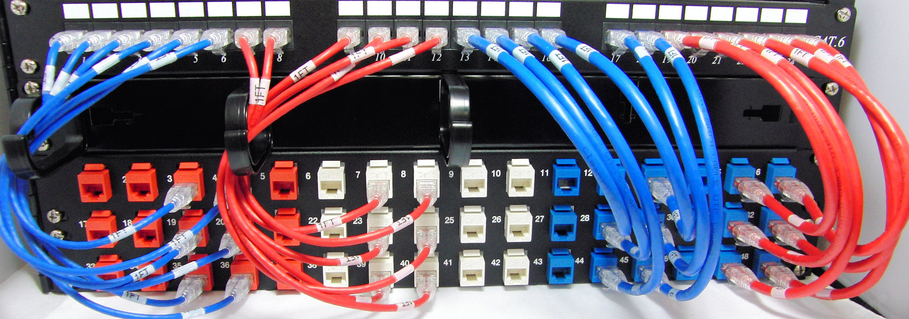 Ethernet Patch Cables Plugged Into a Patch Panel