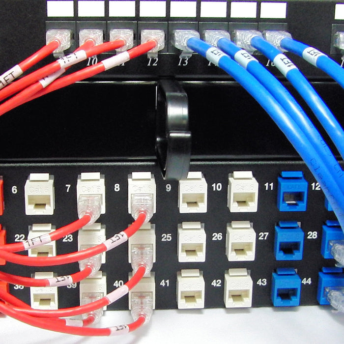 Ethernet Patch Cables Plugged Into a Patch Panel