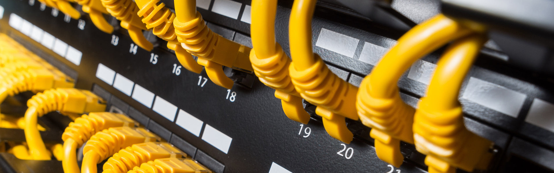 Choosing the Right Ethernet Cable for the Right Environment — Primus Cable