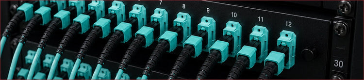 MTP Trunk Cables