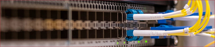 QSFP-DD Fiber Switches