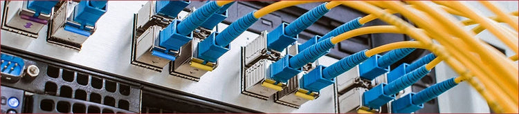 SFP Fiber Switches