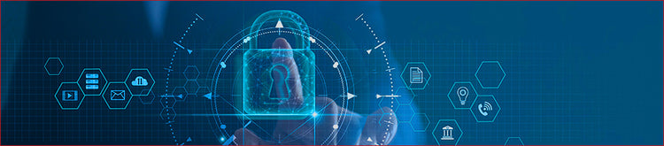 Primus Cable - NVR & DVR Accessories