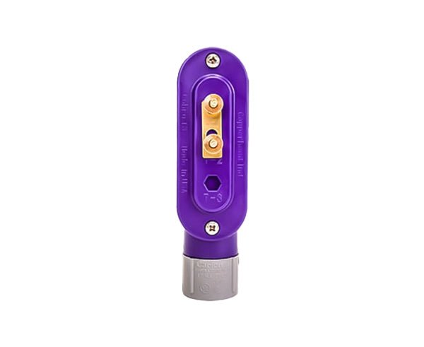 Cobra Access Point For Underground Utilities, 1/2/3 Terminal, Fits 1" Conduit - Various Colors