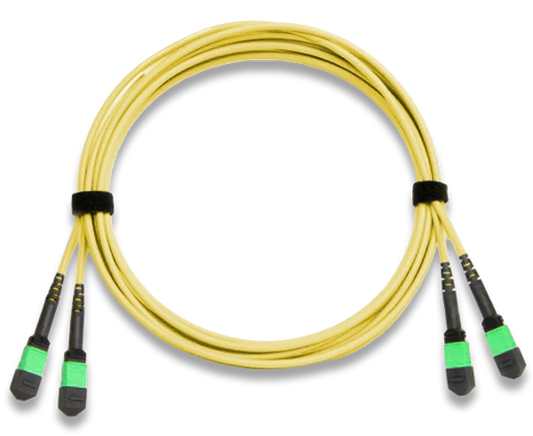 MTP Trunk Cable, APC Polish, Single Mode, 24 Fiber, 9/125, Plenum Rated
