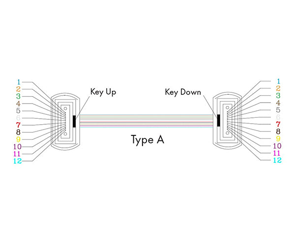 MTP® Trunk Cable, Multimode OM4, 12 Strand, 50/125, Type A, Female to Female, Plenum Rated - diagram
