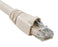 CAT6A Ethernet Patch Cable, 10G, Snagless Molded Boot, RJ45 - RJ45, Off Colors, Various Lengths, Angled View