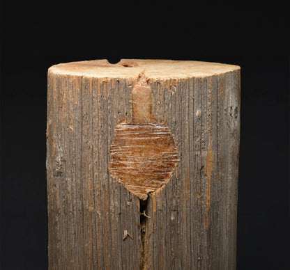 Polywater® UPR™ Wood Utility Pole Repair, Asset Maintenance Solutions, Kit