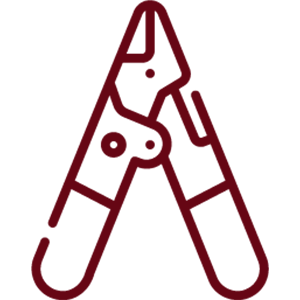 Collection Icon
