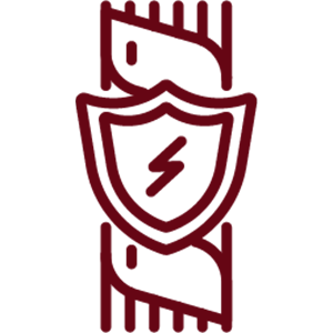 Collection Icon