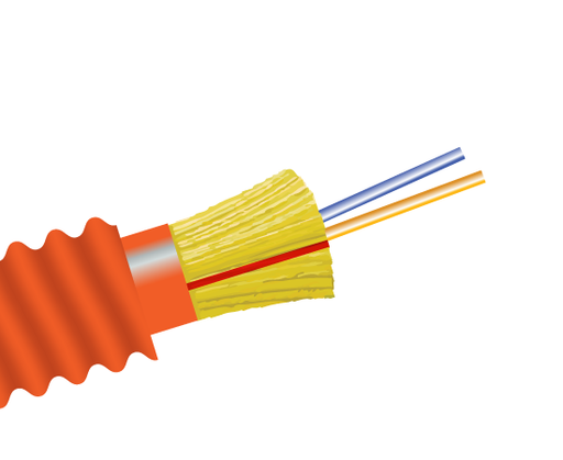 Fiber Optic Cable, 2 Strand, Multimode, 62.5/125 OM1, Armored Indoor/Outdoor Distribution, Riser
