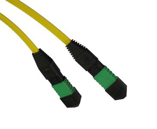 MTP Cable, Single Mode, 12 Fiber, 9/125