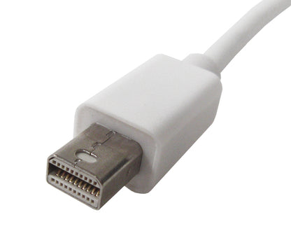 Mini DisplayPort