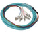 LC UPC 12 Fiber OM3 Multimode Pigtail, Jacketed, 3M