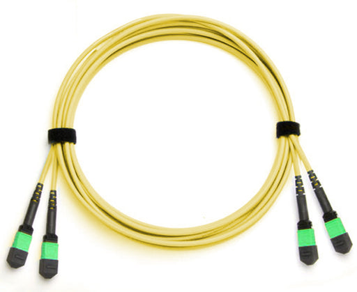 MTP/MPO, APC Polish, Fiber Optic Cable, 24 Strand, Single-Mode 9/125, OS2, Plenum, Female-Female, Method C