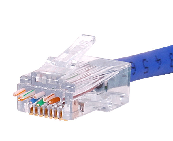 Terminated RJ45 connector showing the wires fed through.