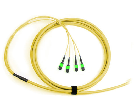 MTP Trunk Cable, APC Polish, Single Mode, 24 Fiber, 9/125, Plenum Rated