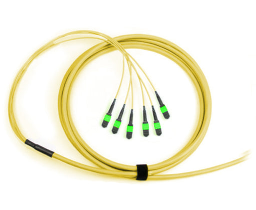 MTP Trunk Cable, APC Polish, Single Mode, 72 Fiber, 9/125, Plenum Rated