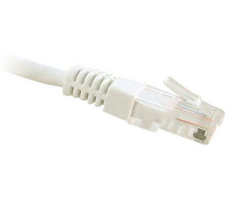 CAT6 Ethernet Patch Cable, Molded Boot, RJ45 - RJ45, Off Colors, Various Lengths, Overstock