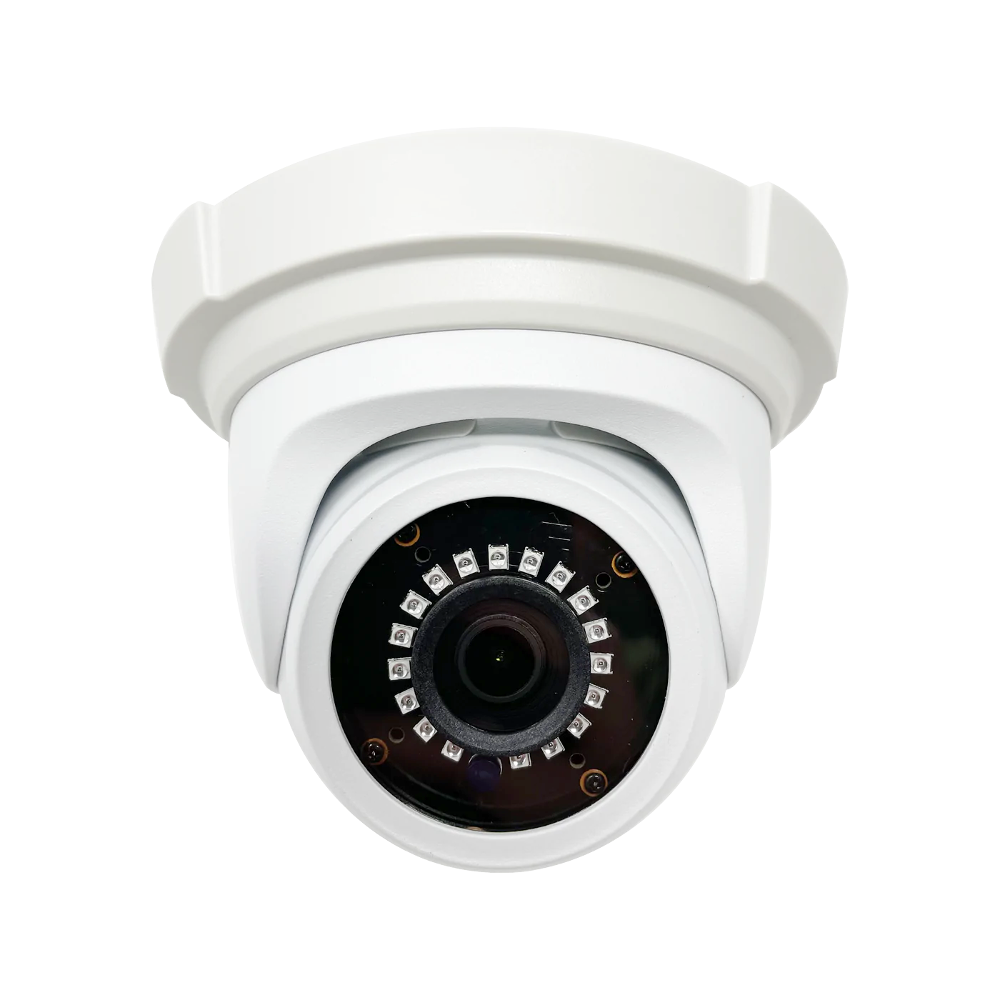 5MP IP Eyeball Outdoor Security Camera