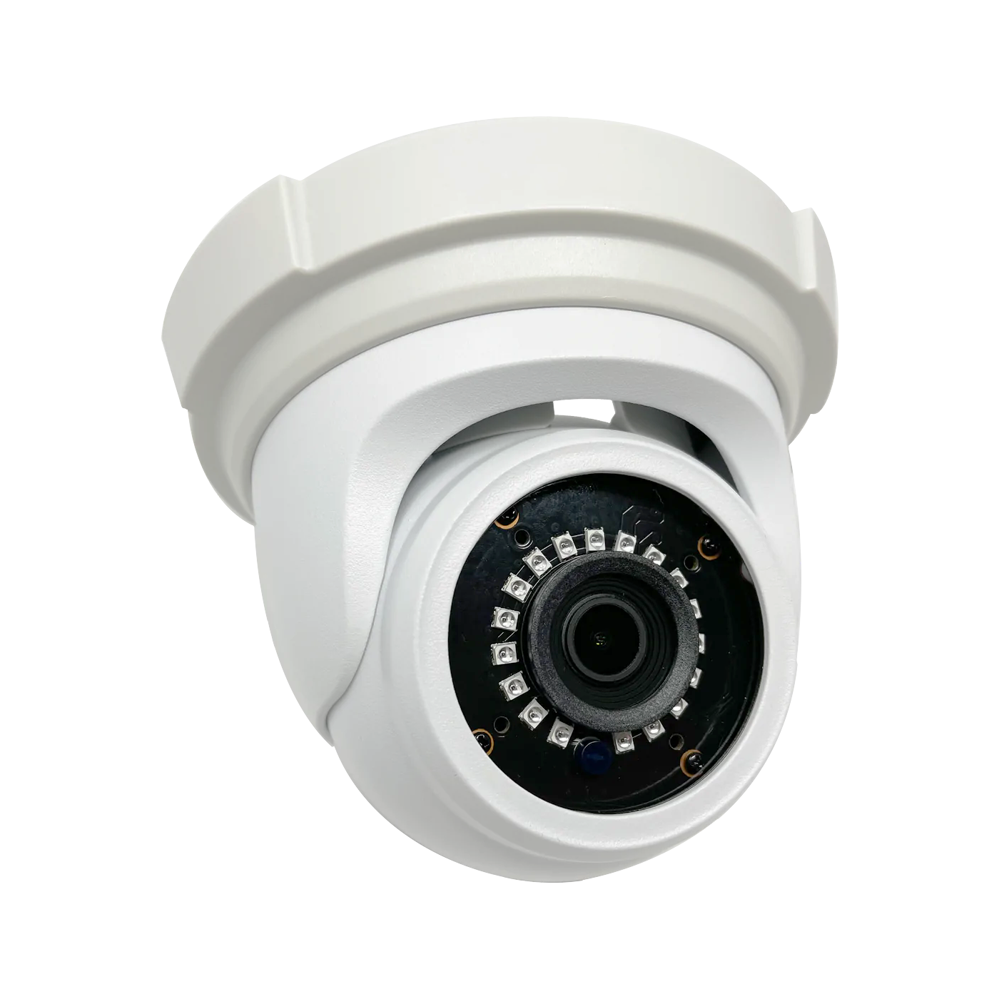 5MP IP Eyeball Outdoor Security Camera